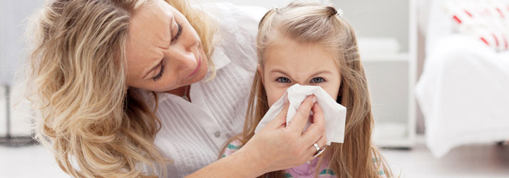 Chiropractic Casper WY Allergies Chiropractic Casper WY Allergies